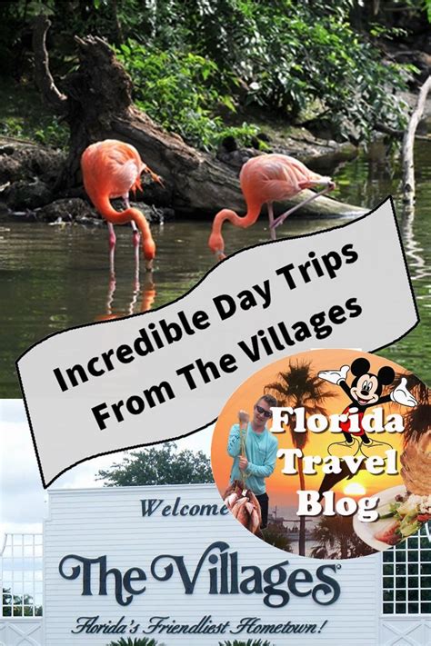 12 Incredible Unique Day Trips From The Villages Fl.